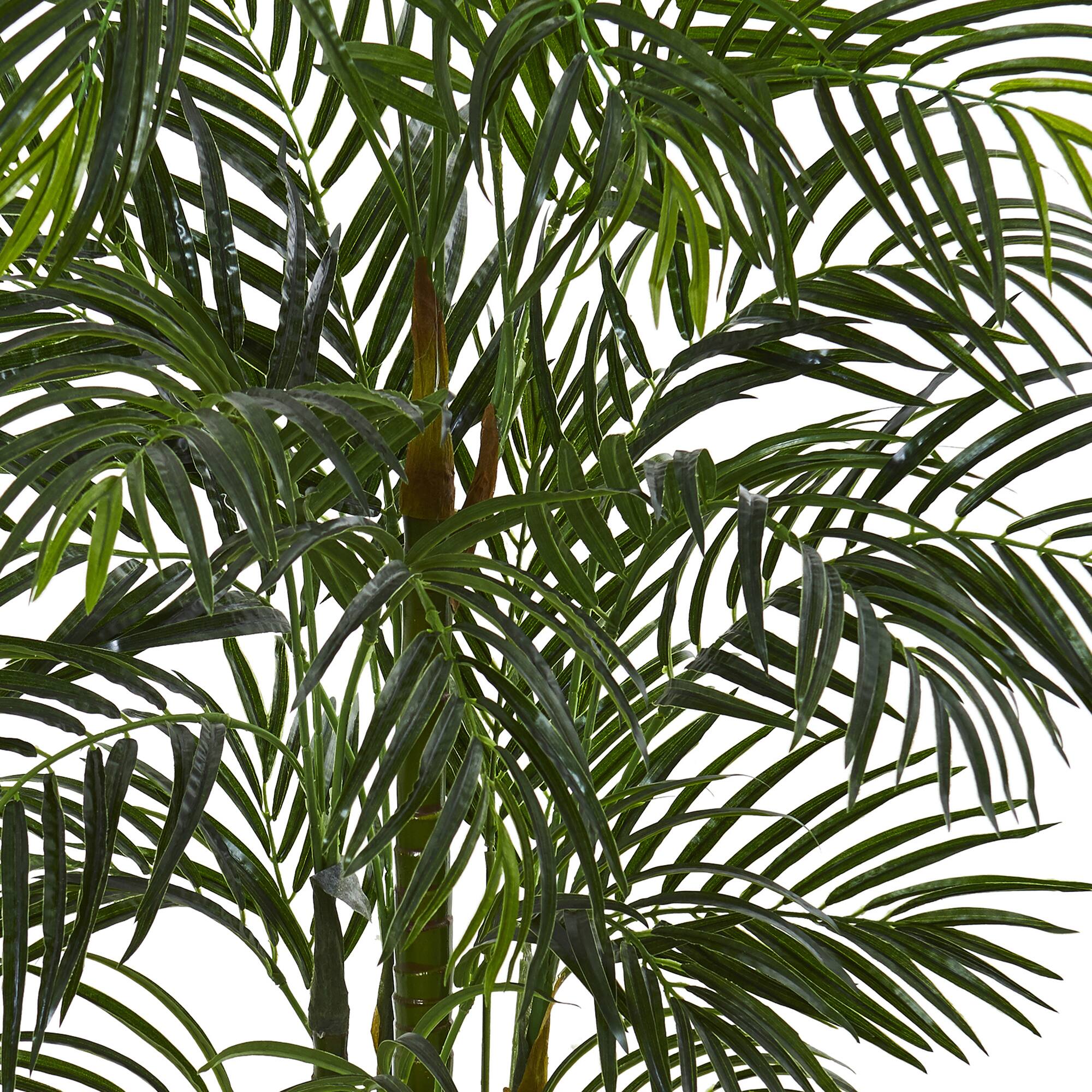 5ft. Areca Palm Tree in White Planter